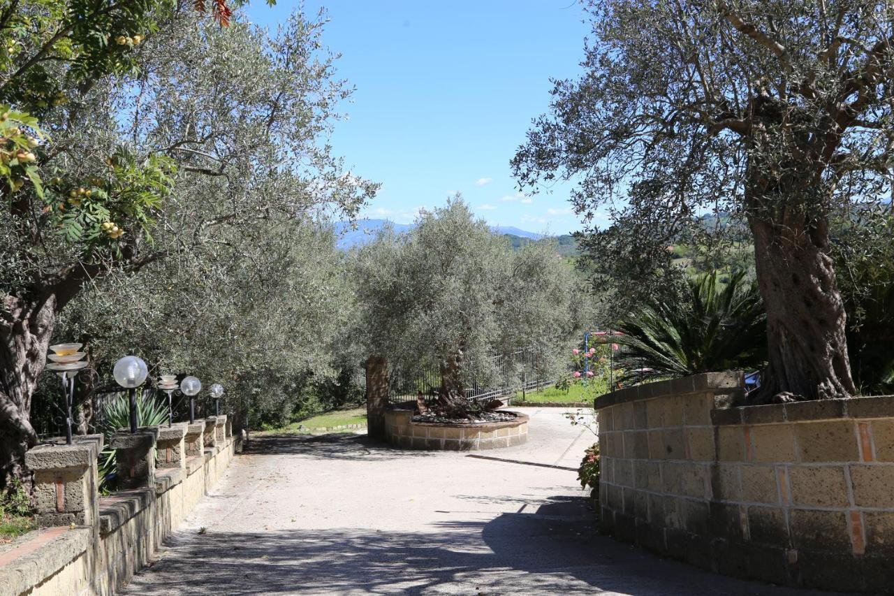La Masseria Pietramarmo Caiazzo - App To Con Vista Εξωτερικό φωτογραφία